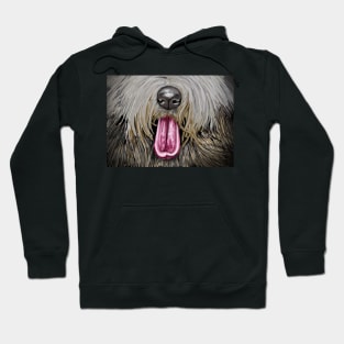 Old English Sheepdog Hoodie